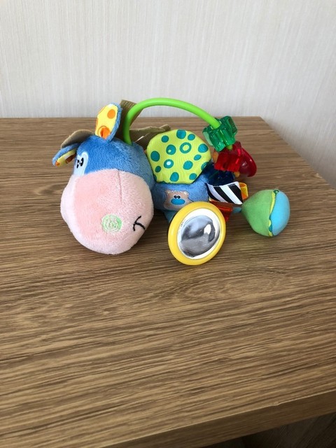 playgro clip clop activity rattle